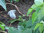 Western Michigan [2009] 181